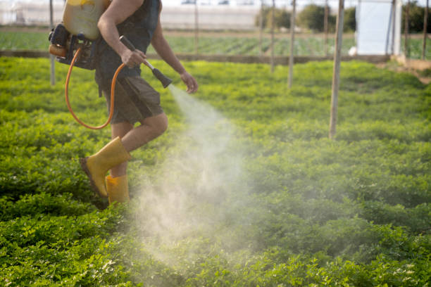 Best Best Pest Control Companies  in Wellington, OH