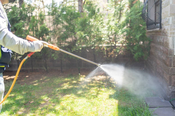 Best Exterminator Services  in Wellington, OH