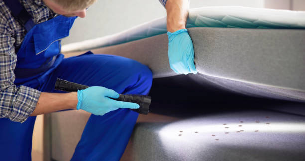 Best Bed Bug Extermination  in Wellington, OH