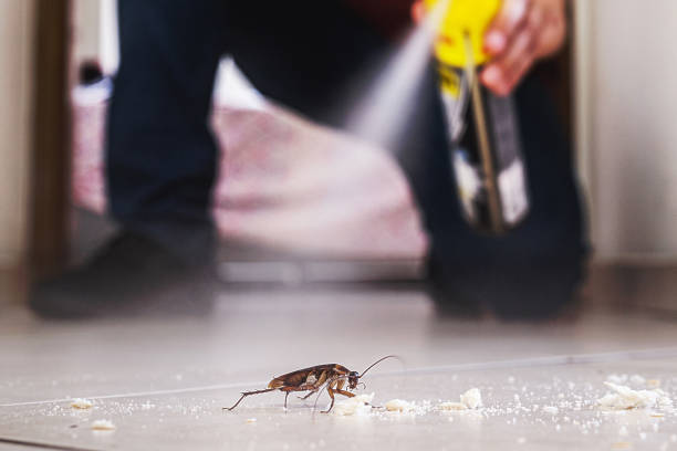 Best Best Pest Control Companies  in Wellington, OH